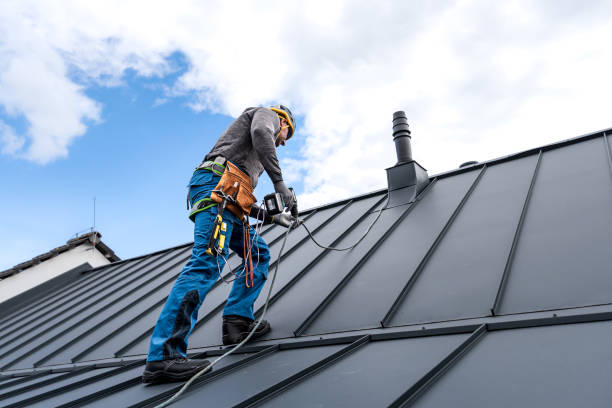 Best Roof Moss and Algae Removal  in Stephenville, TX